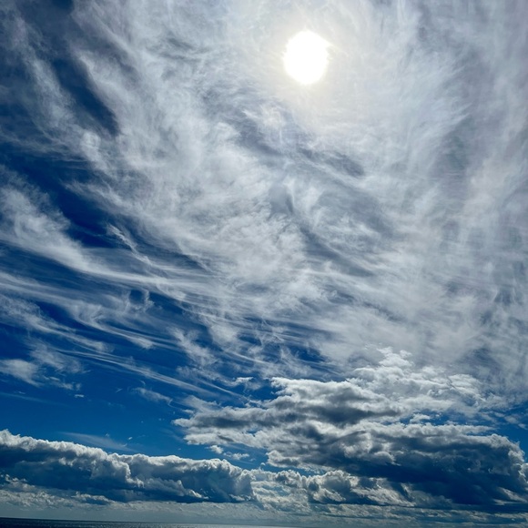 Meet your Posher, Rochelle - Picture 5 of 16